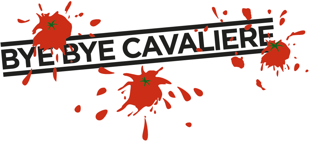 Logo Bye Bye Cavaliere